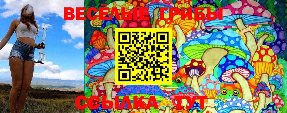 Псилоцибиновые грибы Psilocybe Ижевск